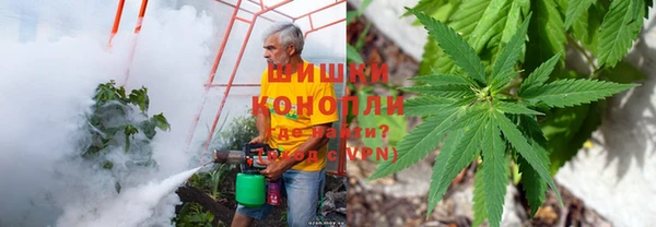 стаф Медногорск