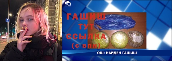 стаф Медногорск