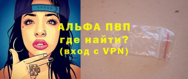 стаф Медногорск