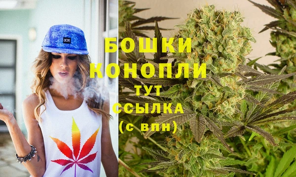 МДПВ Медвежьегорск