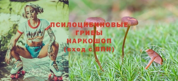 2c-b Мегион