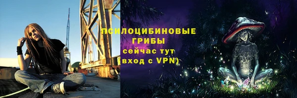 МДПВ Медвежьегорск