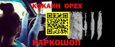 стаф Кандалакша