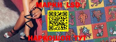 стаф Кандалакша