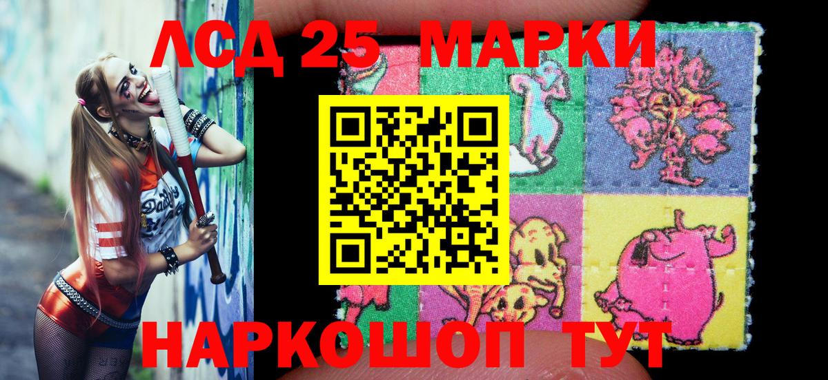купить наркоту  Марки NBOMe 1,8мг  Марки N-bome  Марки NBOMe 1,8мг  Вход с VPN  Новокузнецк 
