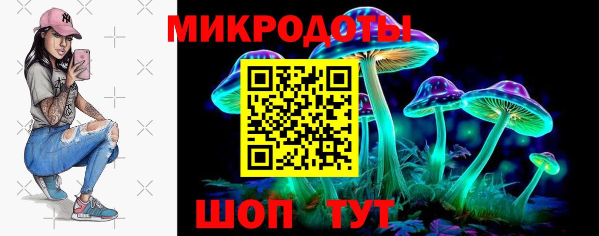 Галлюциногенные грибы Cubensis Новокузнецк