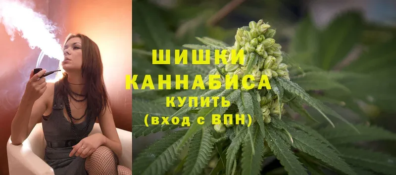 Бошки марихуана гибрид  площадка какой сайт  Новокузнецк  продажа наркотиков 