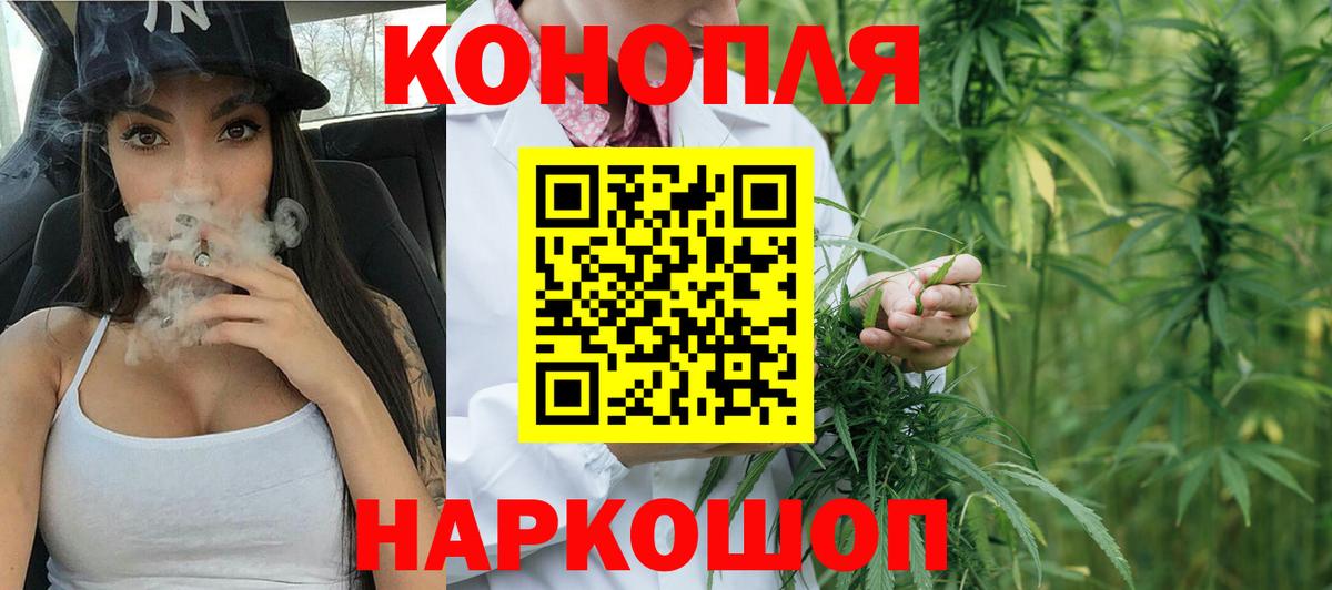 Бошки марихуана OG Kush Новокузнецк